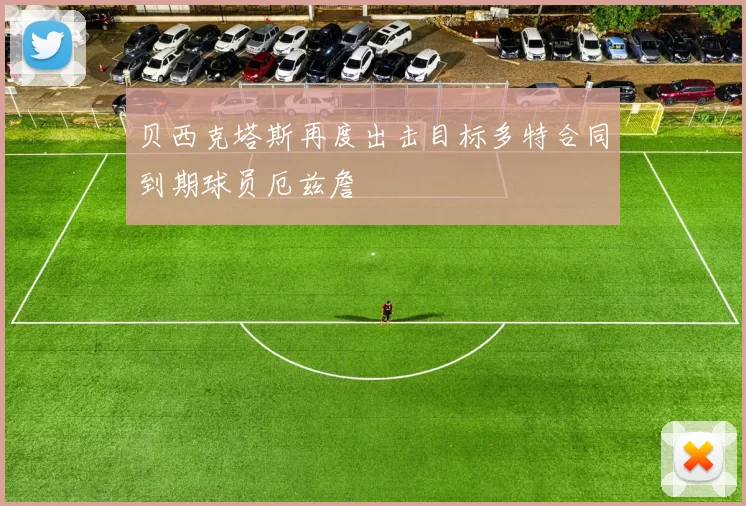 贝西克塔斯再度出击目标多特合同到期球员厄兹詹