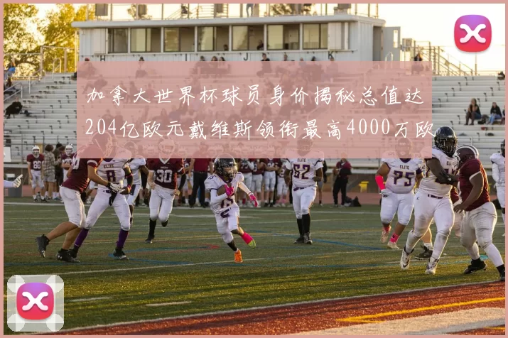 加拿大世界杯球员身价揭秘总值达204亿欧元戴维斯领衔最高4000万欧